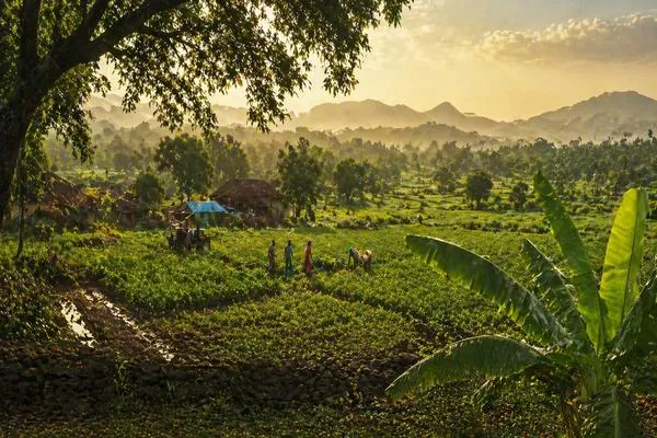 From Farm to Factory Floor