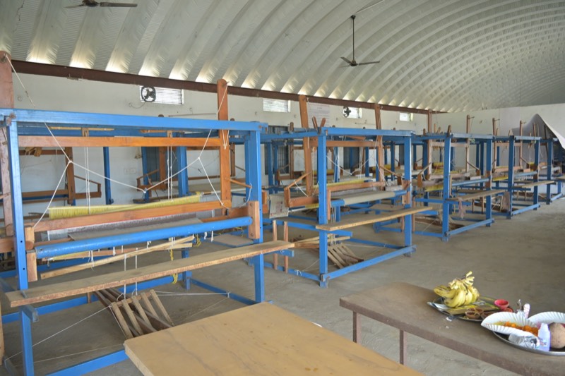 EcoSTEM banana-fibre operations, field & team — photo 24